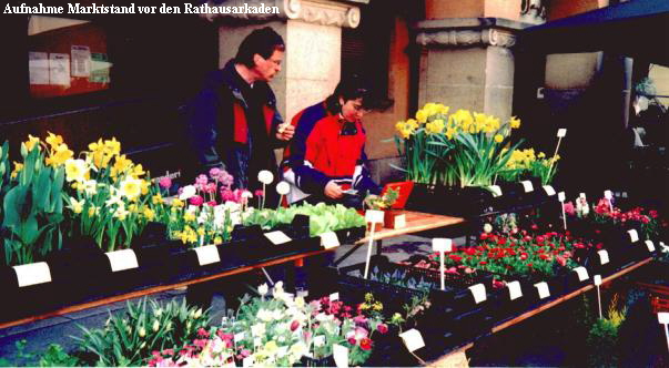 Aufnahme Marktstand vor den Rathausarkaden